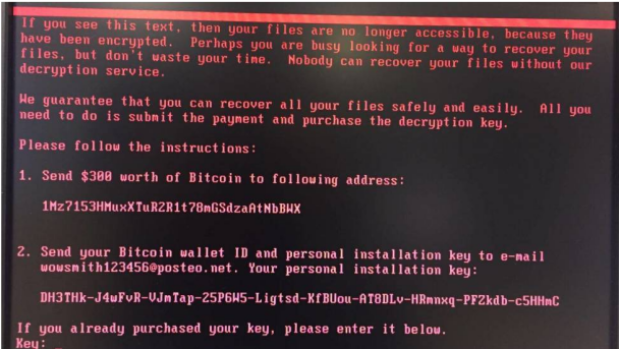 The screen shown on computers locked by the new strain of software.